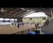 Allround hästar till salu: ❤️Fina Blaze N Fire💥 - Video 3