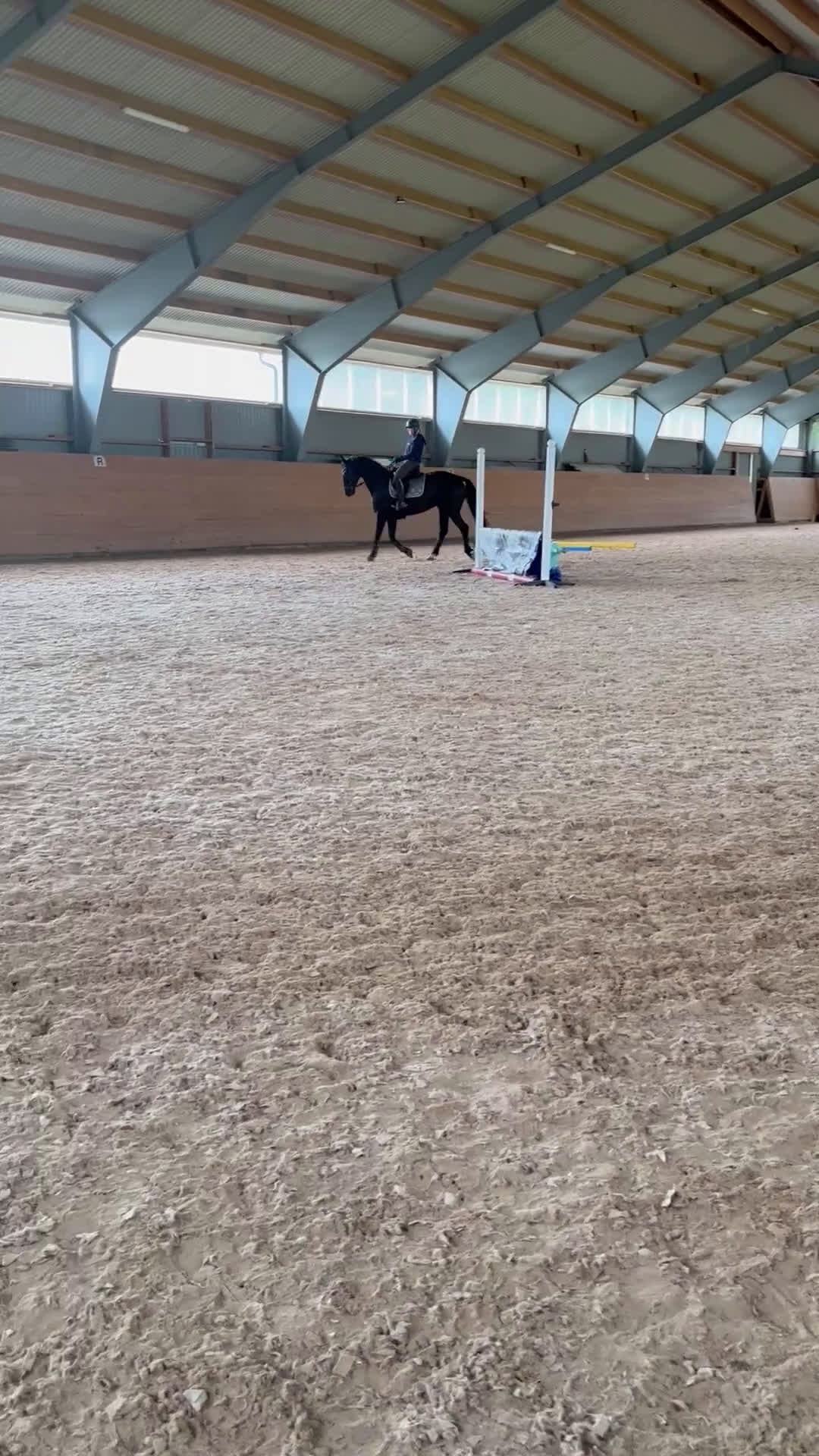  foderhäst finnes: Fodervärd sökes  i Kinnarumma - Video 1