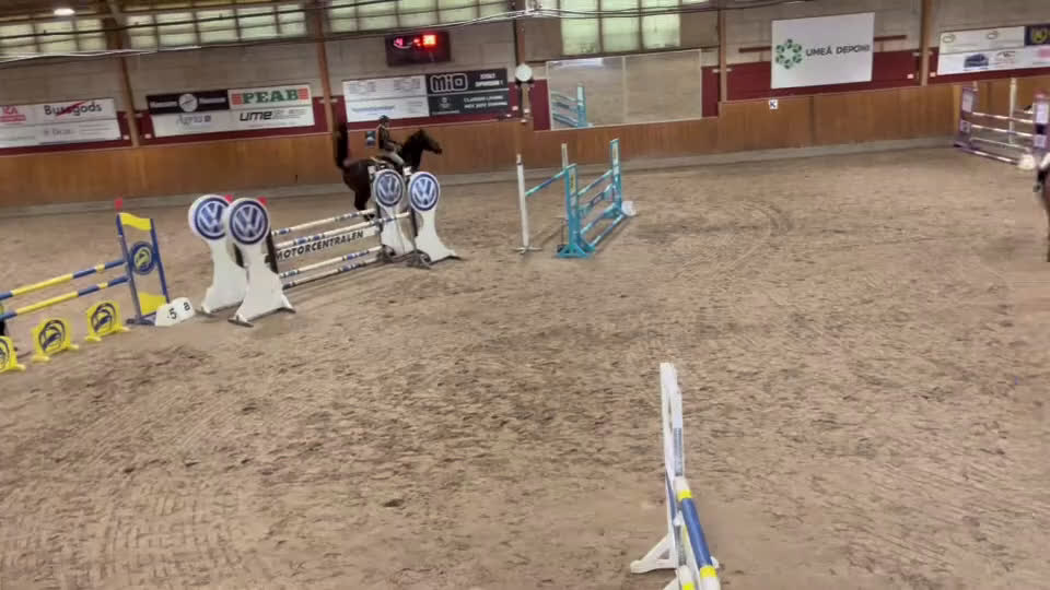 Hoppning hästar till salu: Häftig rosettplockare med stort hjärta i Umeå - Video 1