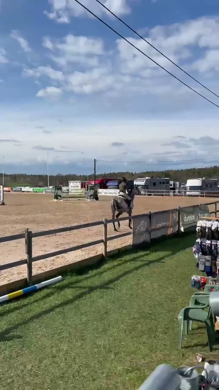 Allround hästar till salu: Sockersöta Yoyo söker ny ryttare  i Vikingstad - Video 1