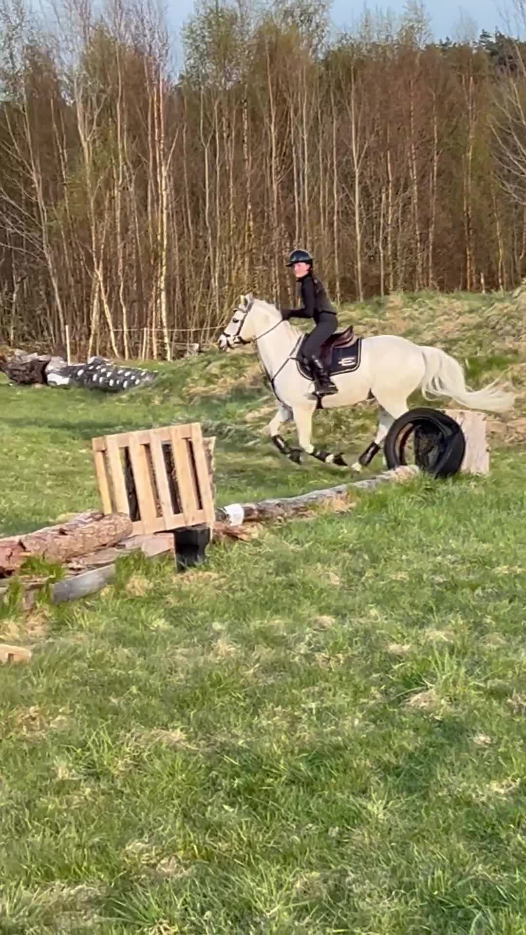 Allround hästar till salu: ⭐️Perfekt förstaponny och bästa vän⭐️🤍 i Torslanda - Video 2
