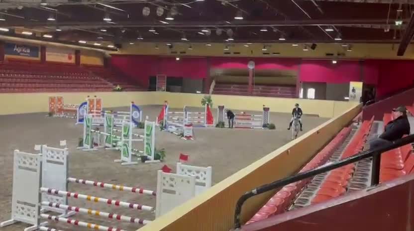 Hoppning hästar till salu: Lyxig allroundhäst – Fint 8-årigt sto - Video 1