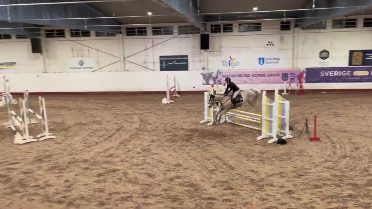 Allround hästar till salu: Maxad C-ponny - Video 3