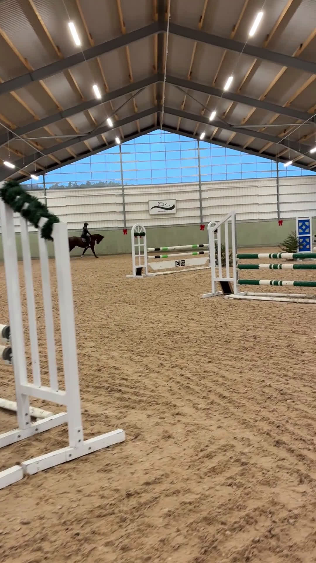  medryttarhäst sökes: Medryttare sökes  i Nyköping - Video 2