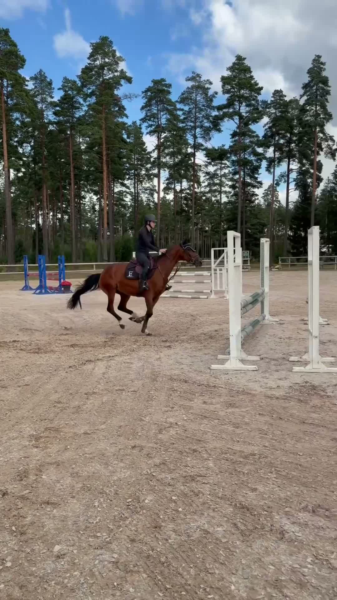 Hoppning hästar till salu: Uppdaterad!! Ponny för framtiden😍⭐️ - Video 1