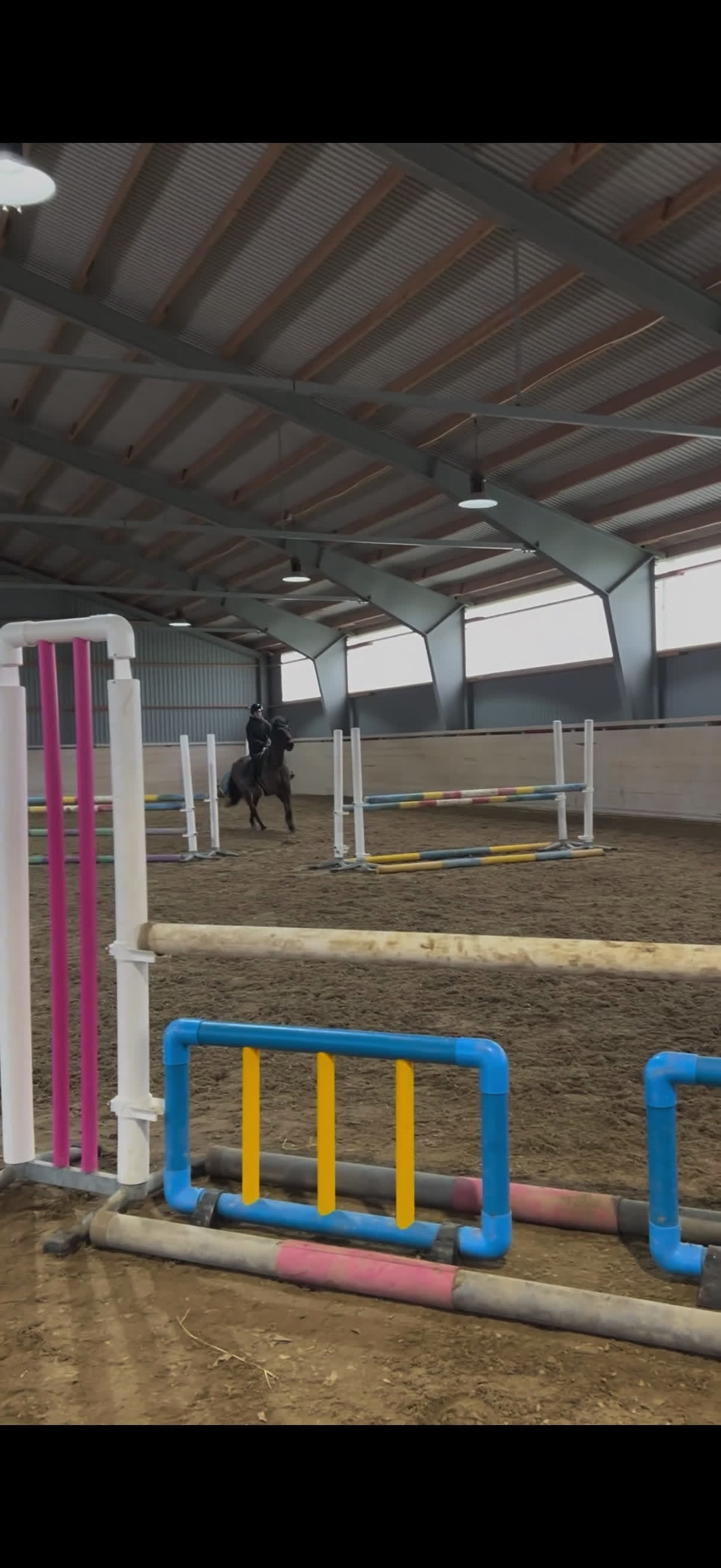 Allround hästar till salu: Intressekoll läromästare - Video 2