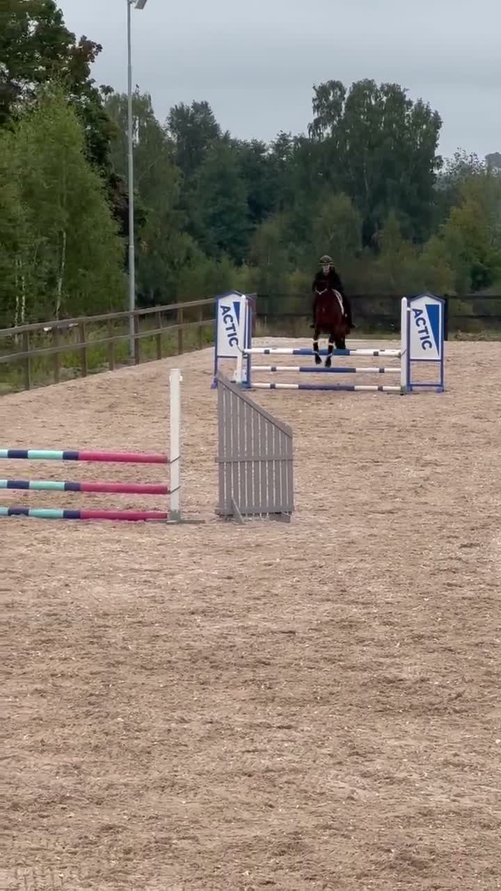 Allround hästar till salu: En bästa vän - Video 2