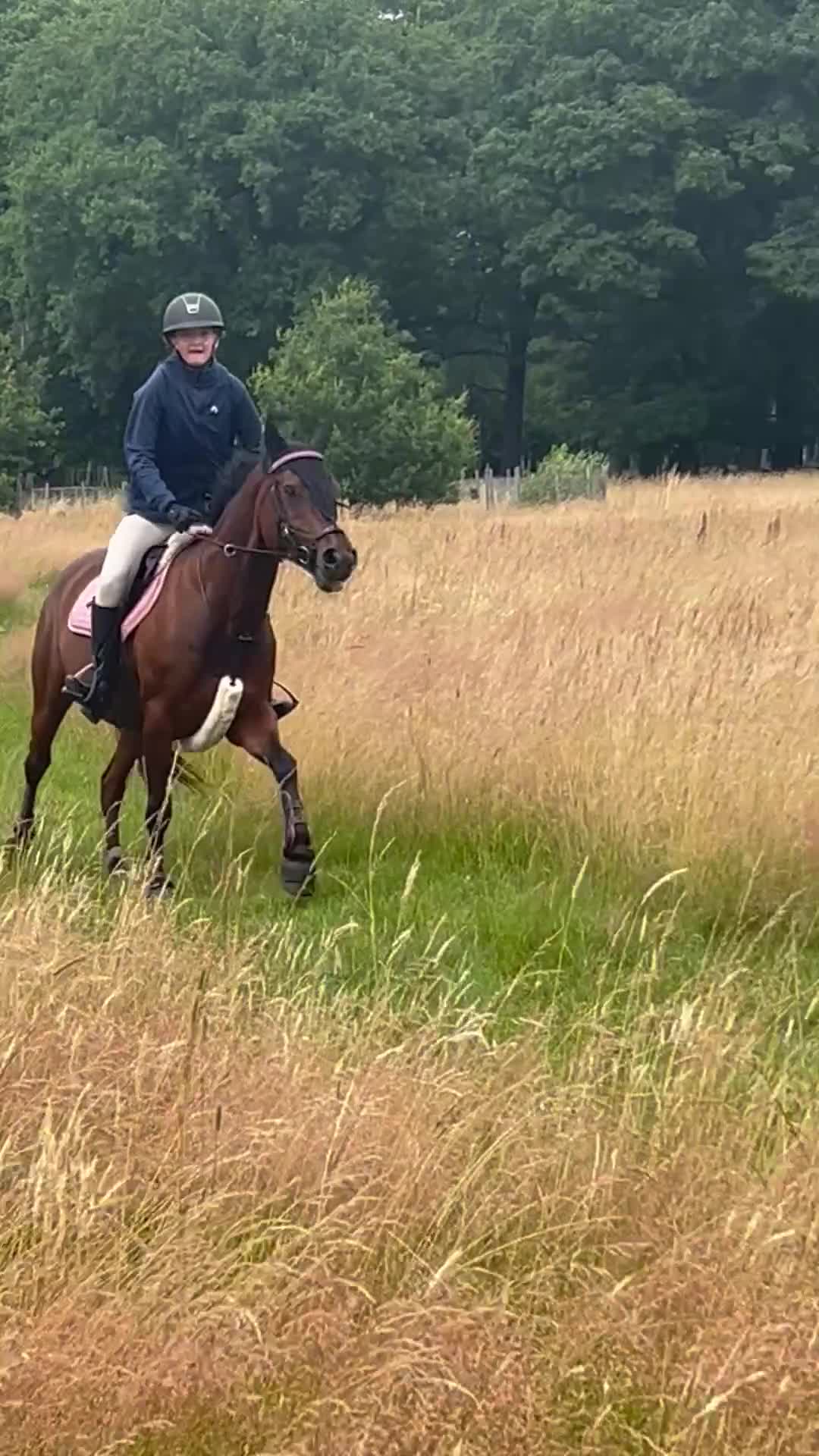Allround hästar till salu: Libertti maxad D-ponny söker nytt hem  - Video 1
