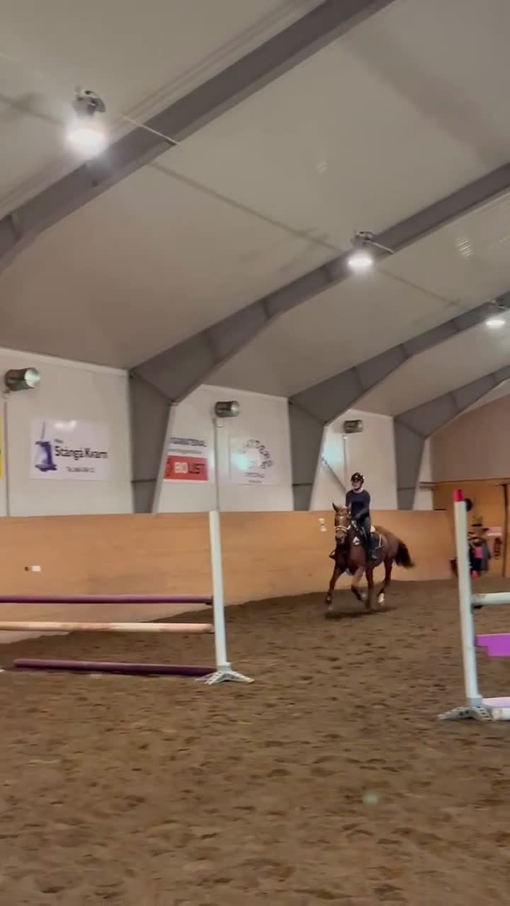 Allround hästar till salu: Maxad D-ponny till valfri disciplin. - Video 1