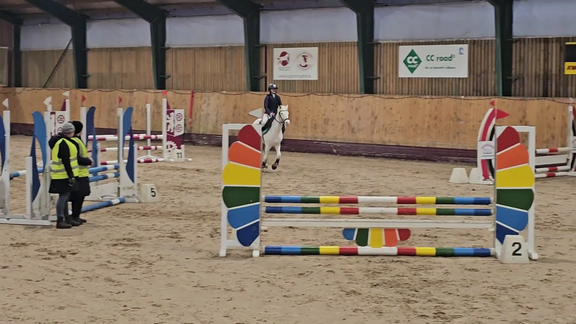 Allround hästar till salu: Speciell sportponny  - Video 1