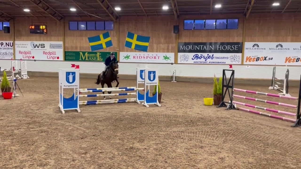 Hoppning hästar till salu: Sto med potential i Kungsbacka - Video 1