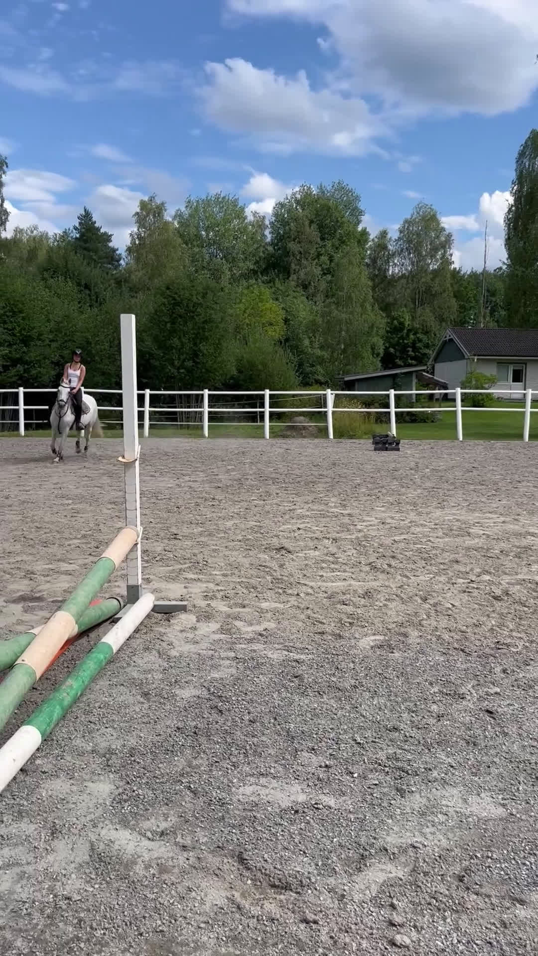Allround hästar till salu: Ponny med hjärtat på rätt ställe i Arvika - Video 1