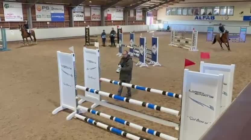 Hoppning hästar till salu: 🐴 Ray of Light – Lovande 6-årigt hoppsto (1,10 m) - Video 2