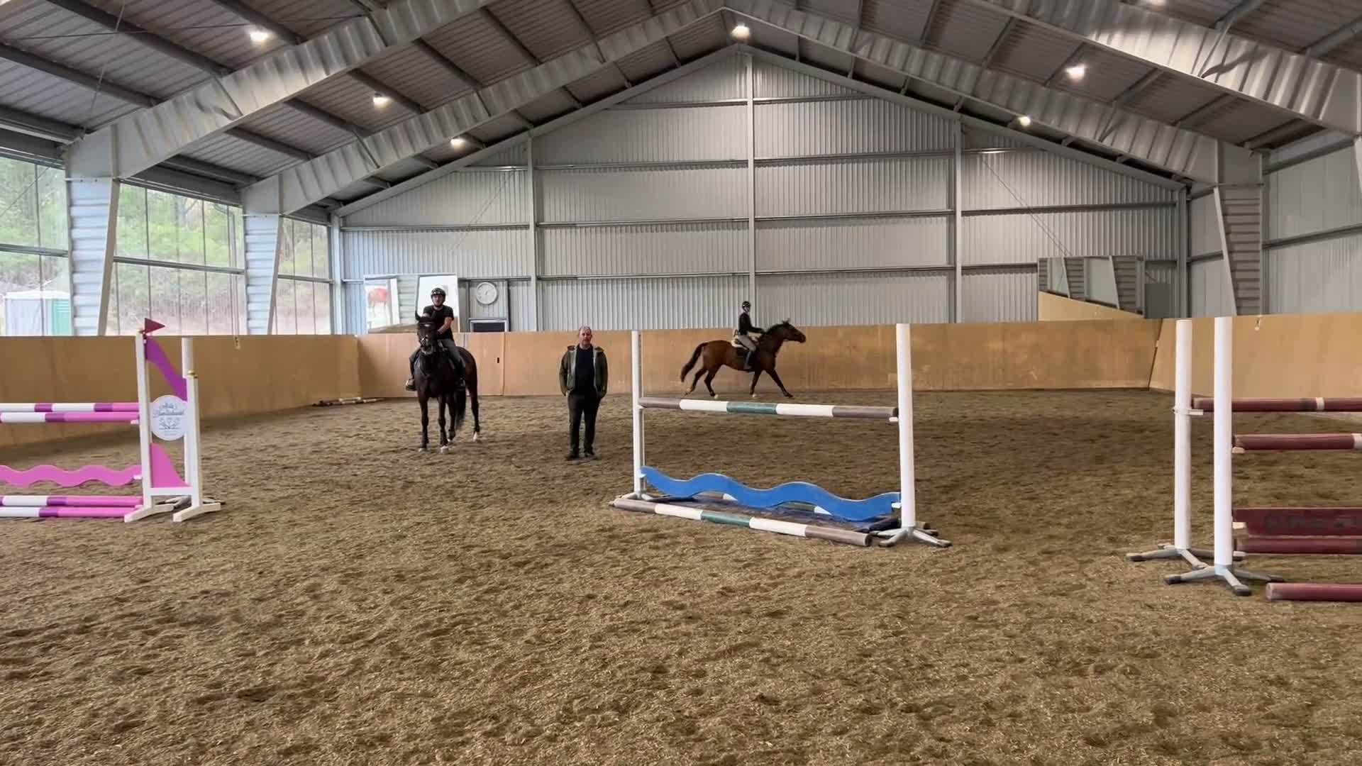 Hoppning hästar till salu: Lyxig läromästare till salu - Video 1