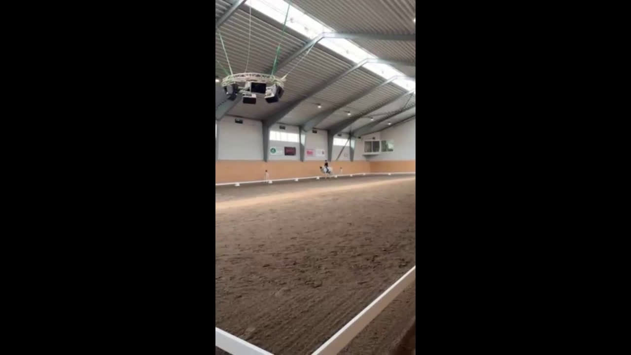 Fälttävlan hästar till salu: Erfaren Fälttävlans- & hopp ponny  i Vallentuna - Video 4