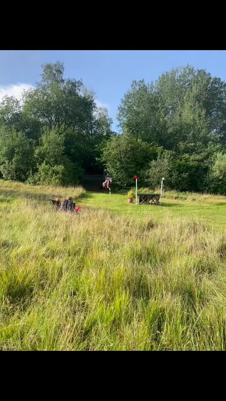 Fälttävlan hästar till salu: D-ponny med mycket potential  - Video 2