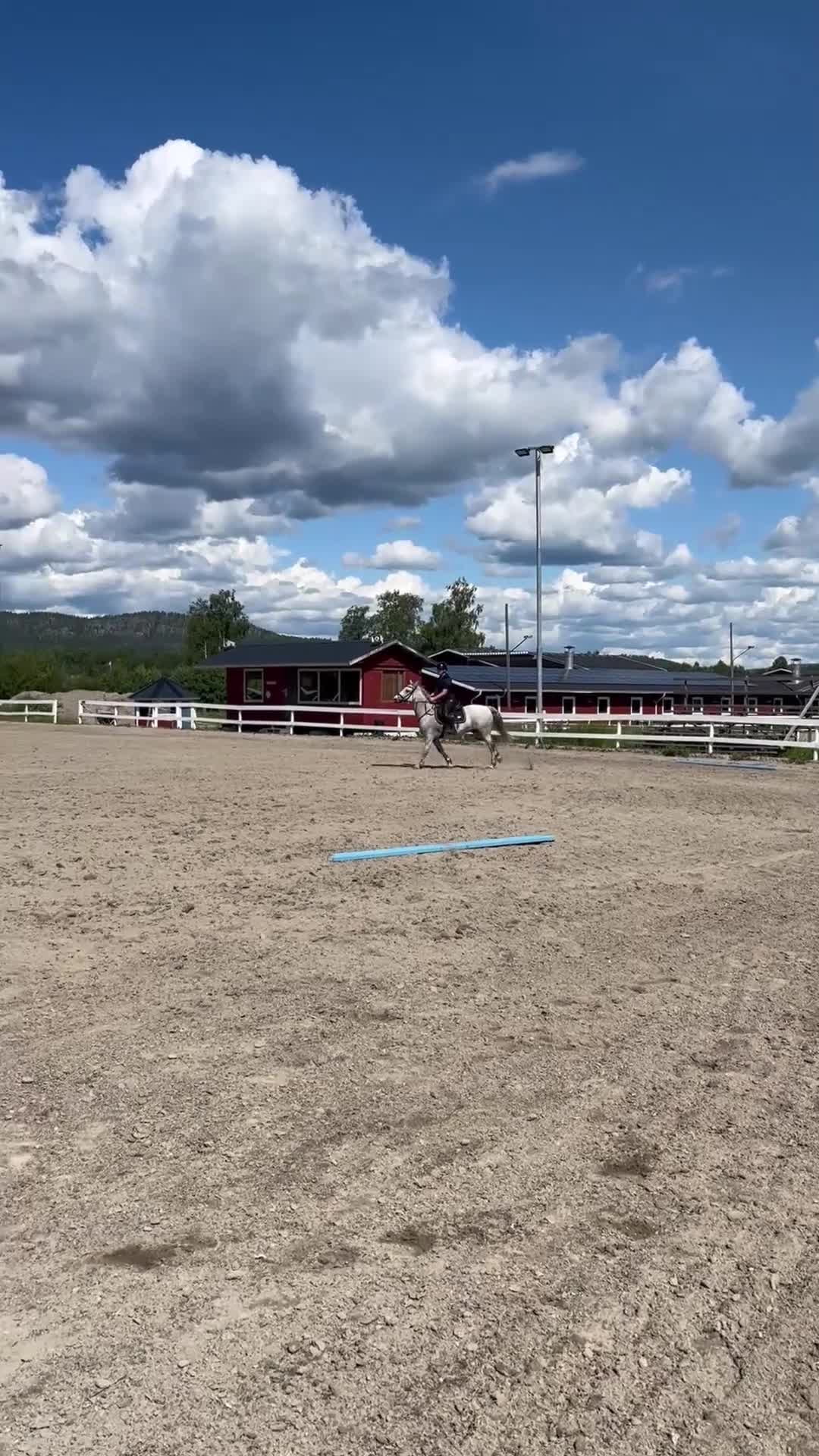 Hoppning hästar till salu: Snygg connemara  - Video 1