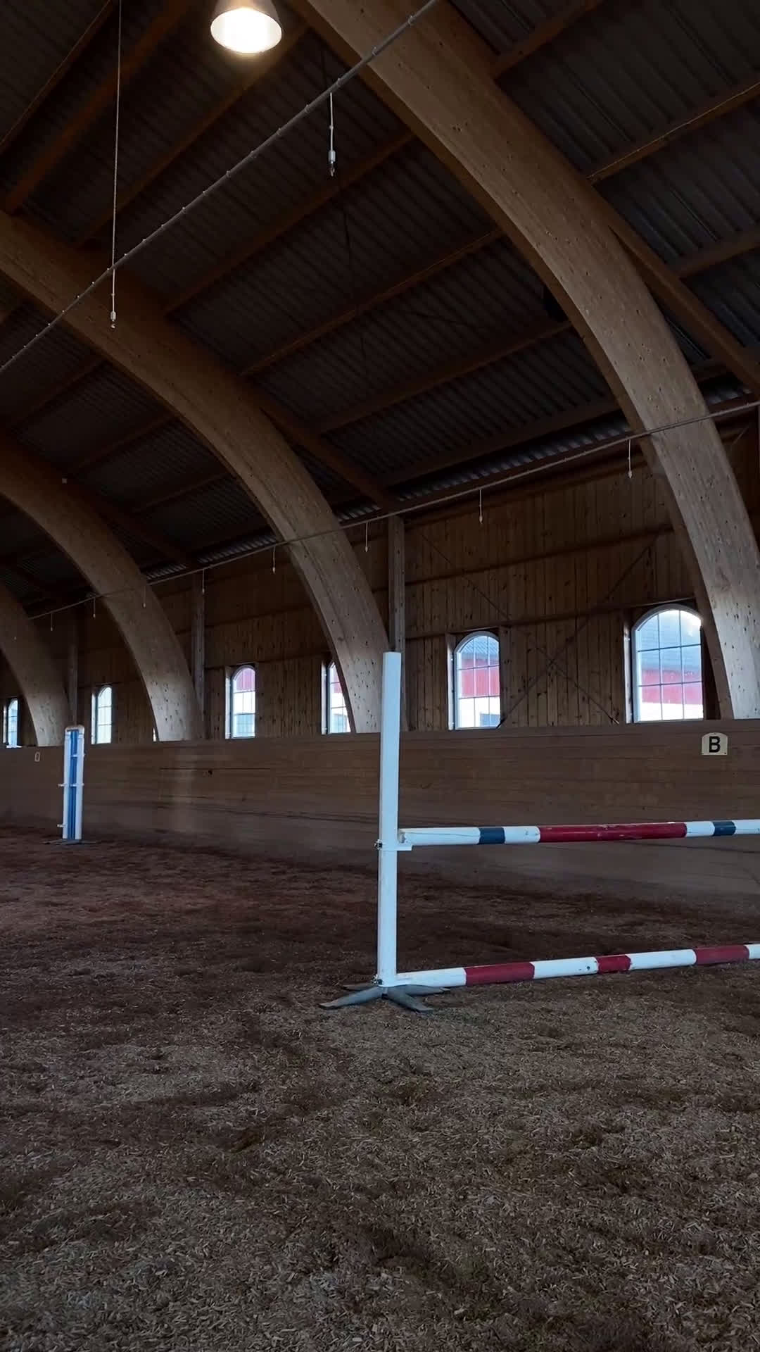 Allround hästar till salu: Fina Wilma behöver nytt hem - Video 2