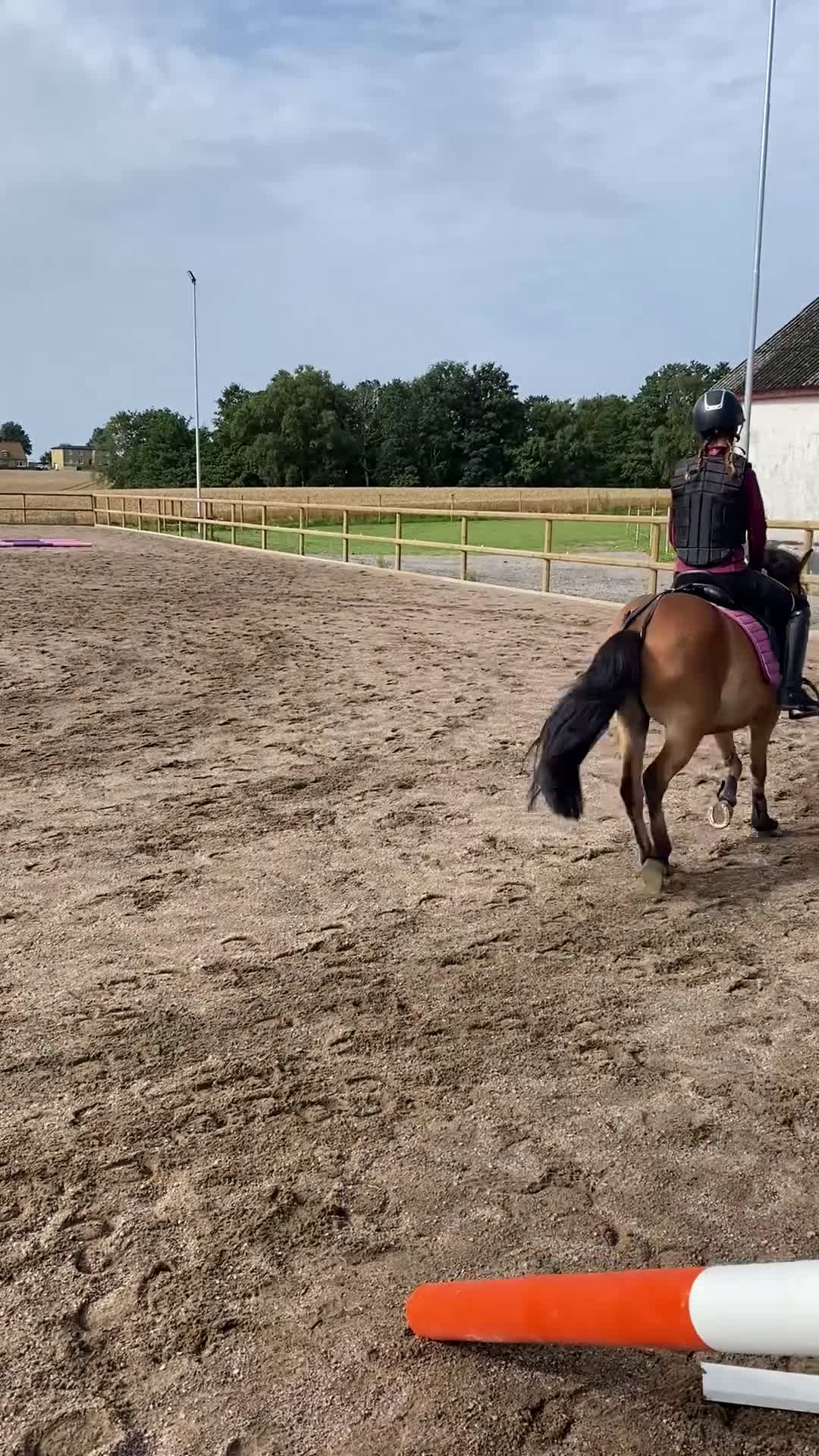 Hoppning hästar sökes: D-ponny sökes i Trelleborg - Video 1
