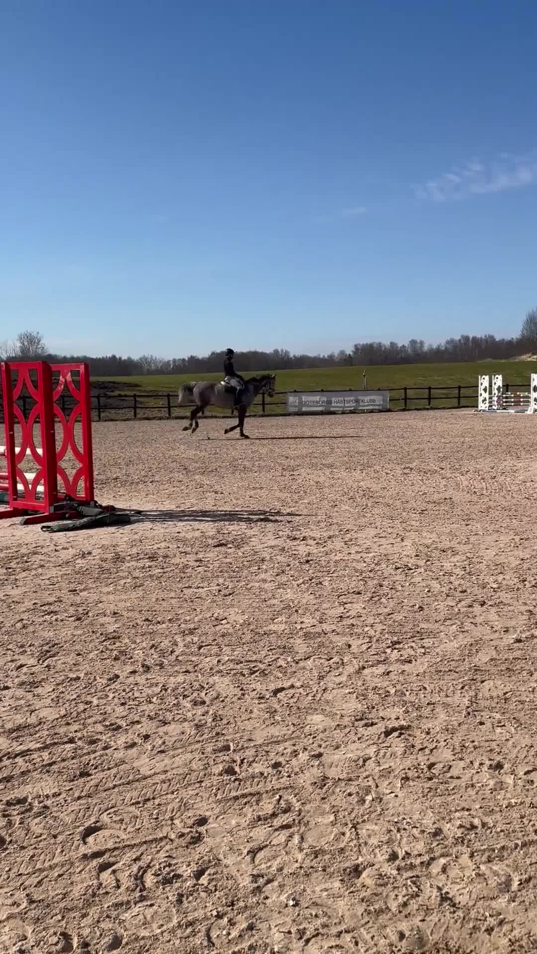 Allround hästar till salu: Häftig valack säljes 🌟  - Video 3