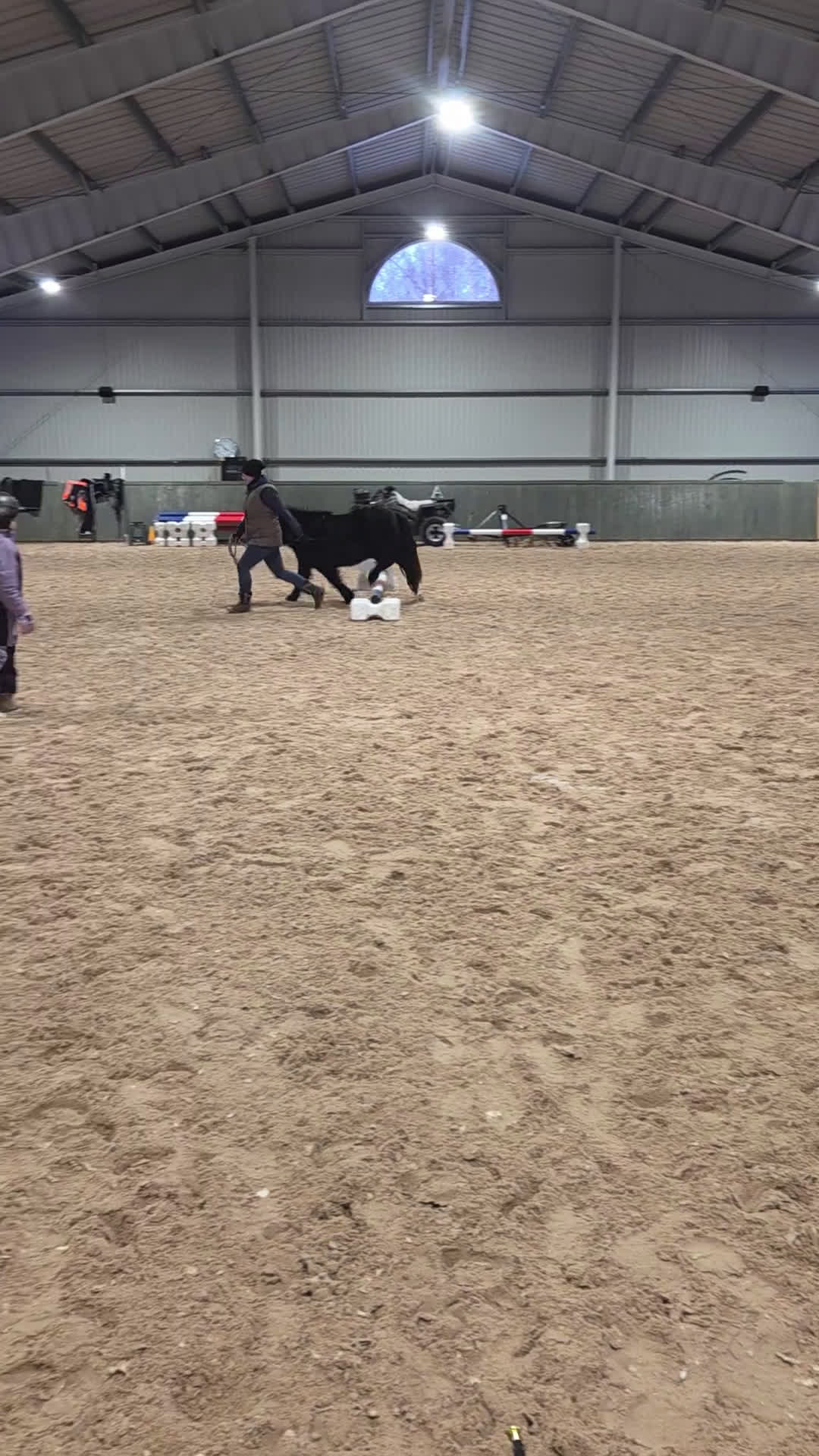 Allround hästar till salu: Supersöta Mimmi - Video 4