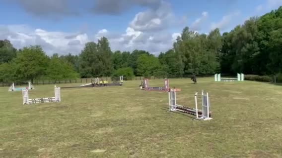 Allround hästar till salu: Vänligt russto, bytes ev bvsa - Video 1