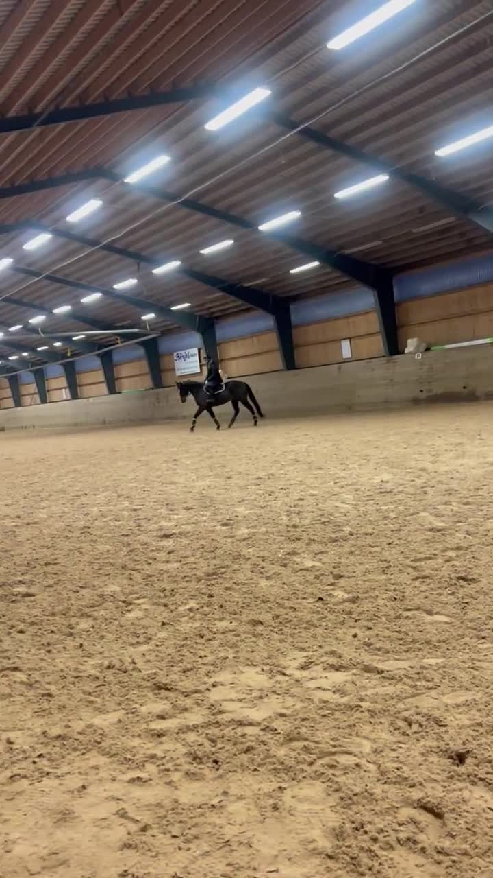  medryttarhäst sökes: Medryttare sökes  i Värends Nöbbele - Video 2