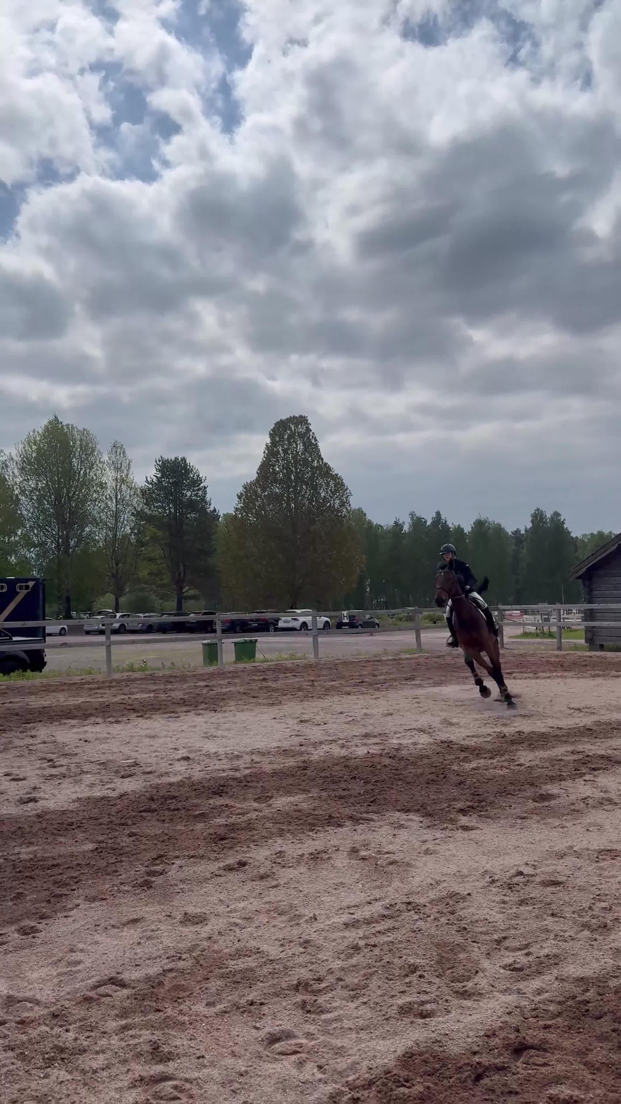 Hoppning hästar till salu: Lovande SWB-sto - Video 1