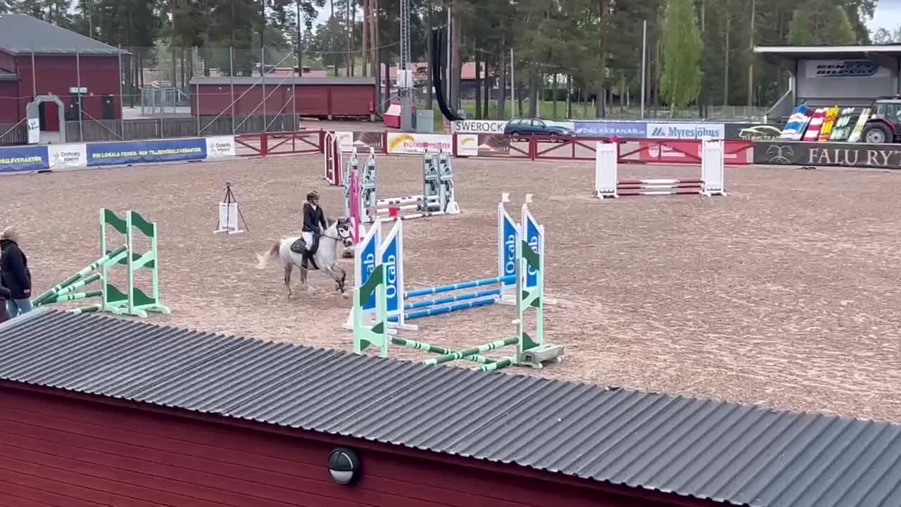 Allround hästar till salu: Sötaste ponnyn Pippi - Video 1