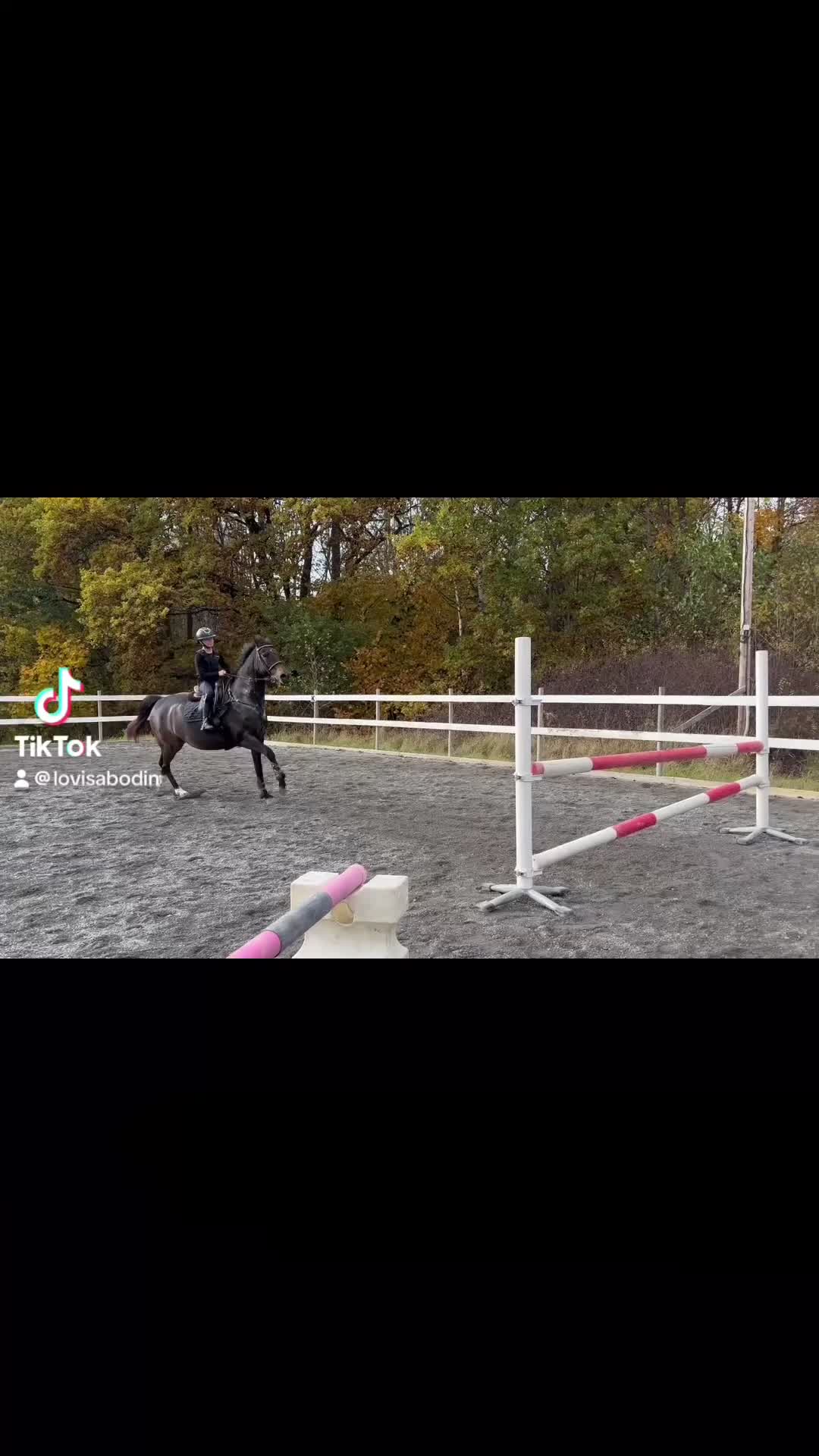 Allround hästar till salu: Fantastisk sto med stort hjärta! - Video 2