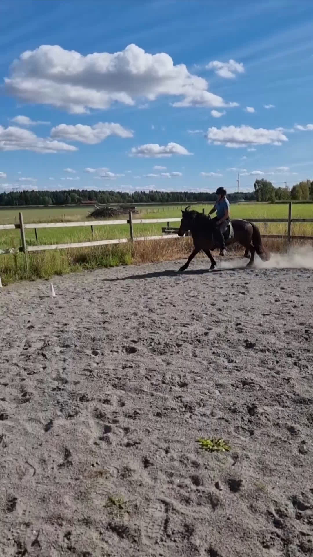 Island hästar till salu: Embla frá Vindási i Skara - Video 5