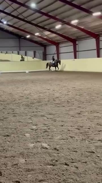 Allround hästar till salu: D- ponny med power och kapacitet! - Video 1