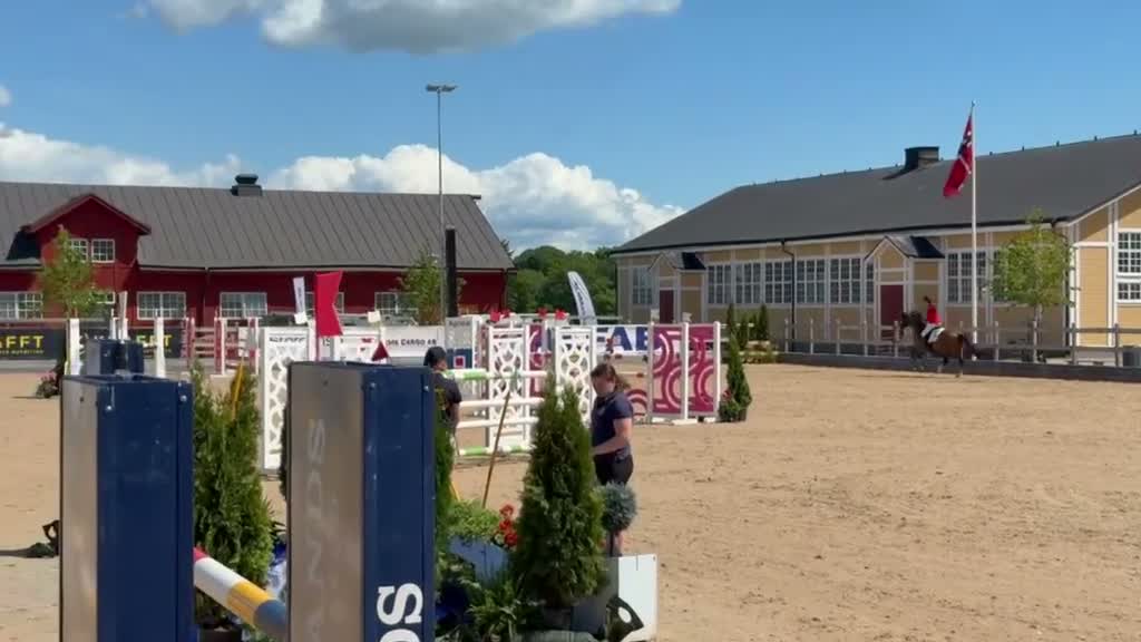 Hoppning hästar till salu: Fantastisk FEI-ponny med mästerskapsmeriter – Atos - Video 1