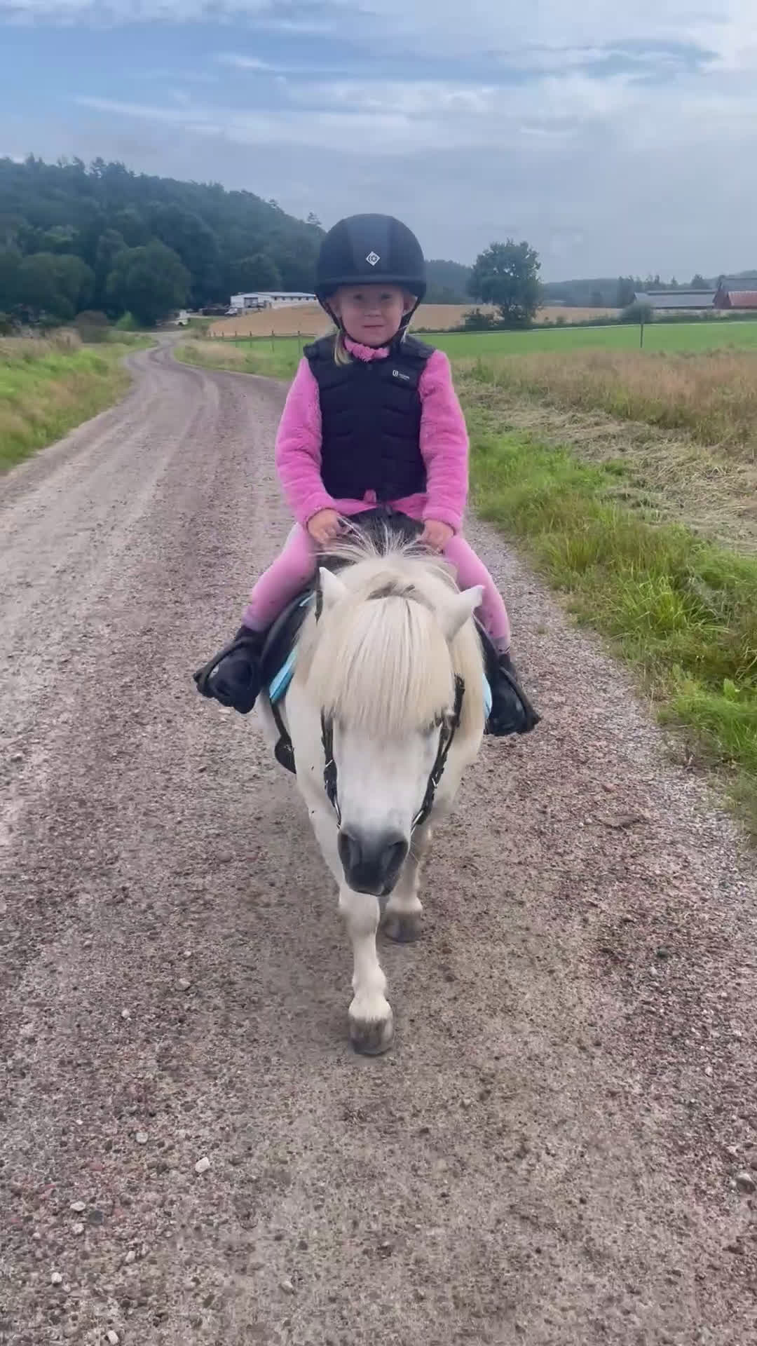Allround hästar till salu: Världens bästa ponny söker ny bästa kompis - Video 4