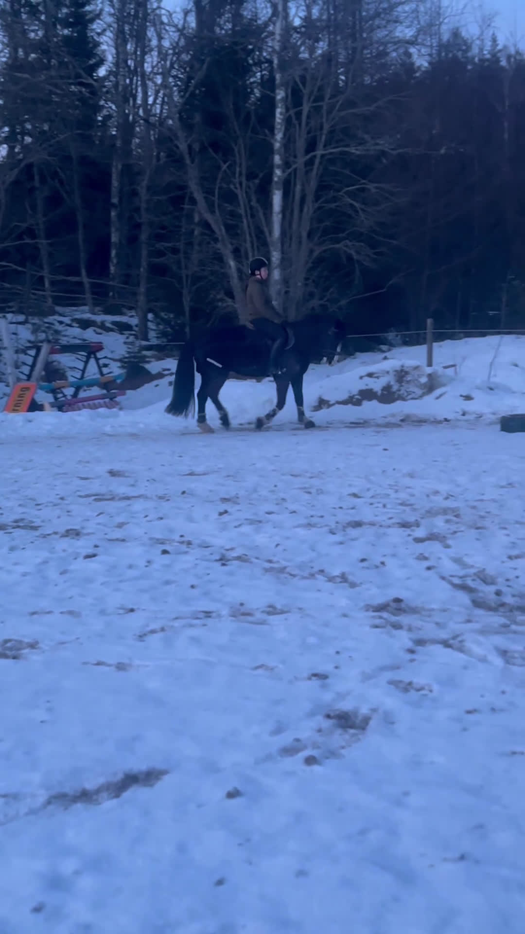 Hoppning hästar till salu: C-ponny säljes eller bytes mot b-ponny - Video 1