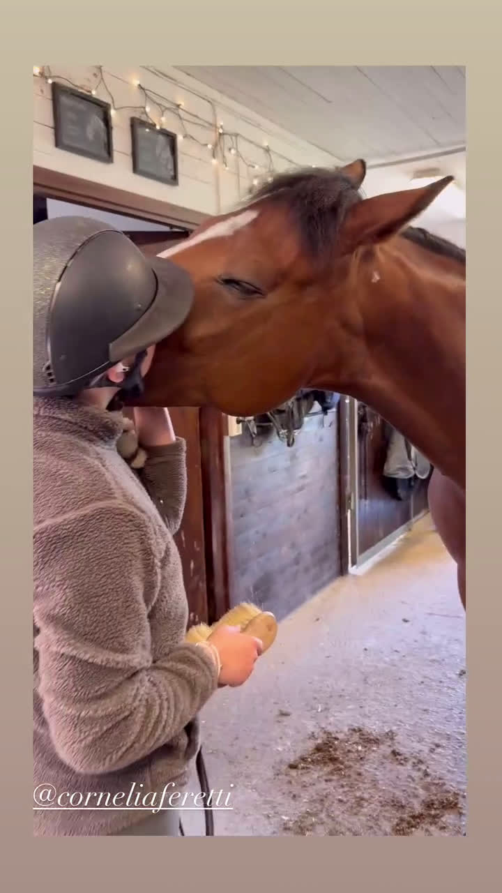 Hoppning hästar till salu: Trevligt sto för hoppning och allround i Flen - Video 3