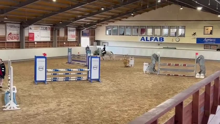 Hoppning hästar till salu: Topponny för högre klasser i Göteborg - Video 5