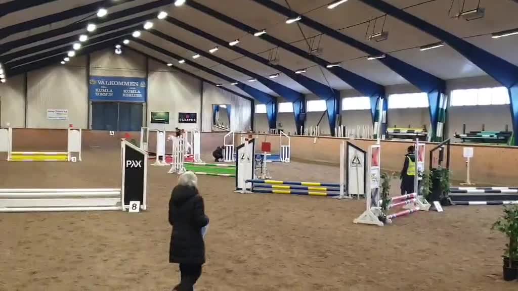 Allround hästar till salu: Aaron,B-ponny 10 år söker trygg ryttare i Motala - Video 2