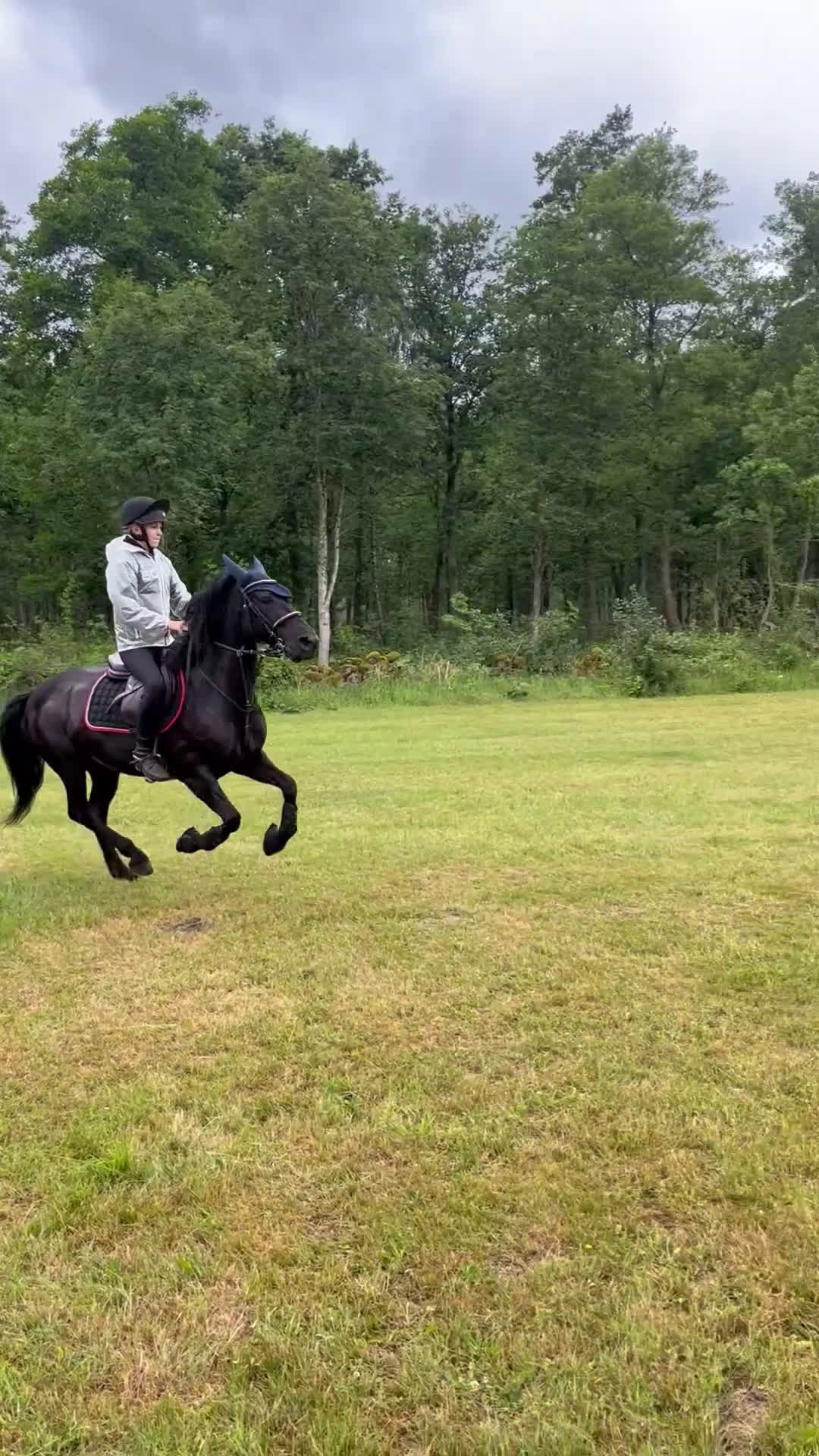  medryttarhäst finnes: Medryttare sökes till C-ponny i Traryd. - Video 2