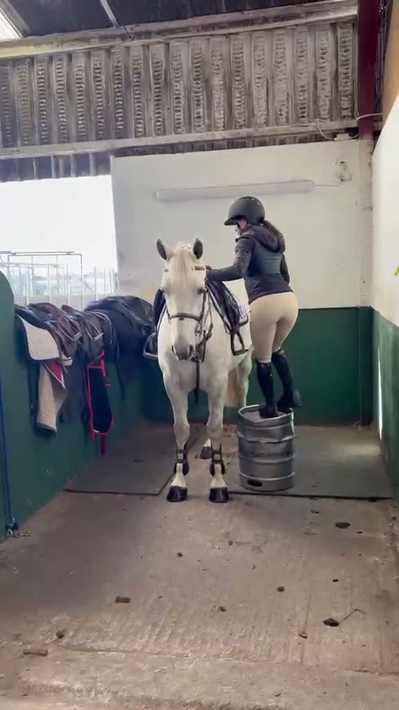Hoppning hästar till salu: Fantastisk D ponny 🌟 - Video 1