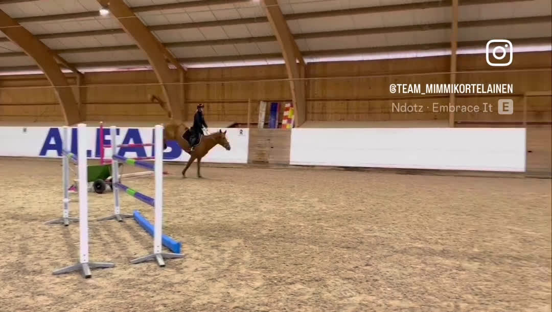 Hoppning hästar till salu: Vackert sto ✨ i Västerås - Video 1