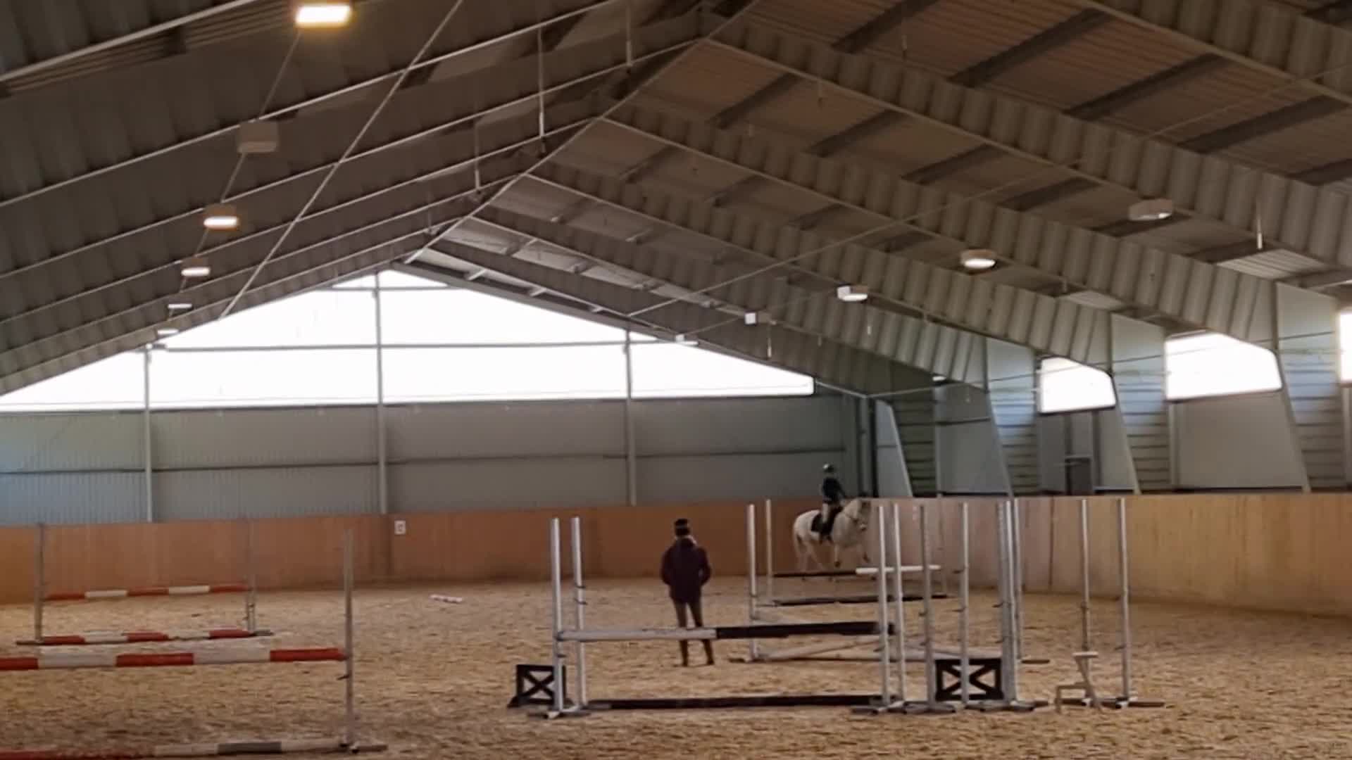 Allround hästar till salu: Donatello 🌸 - Video 2