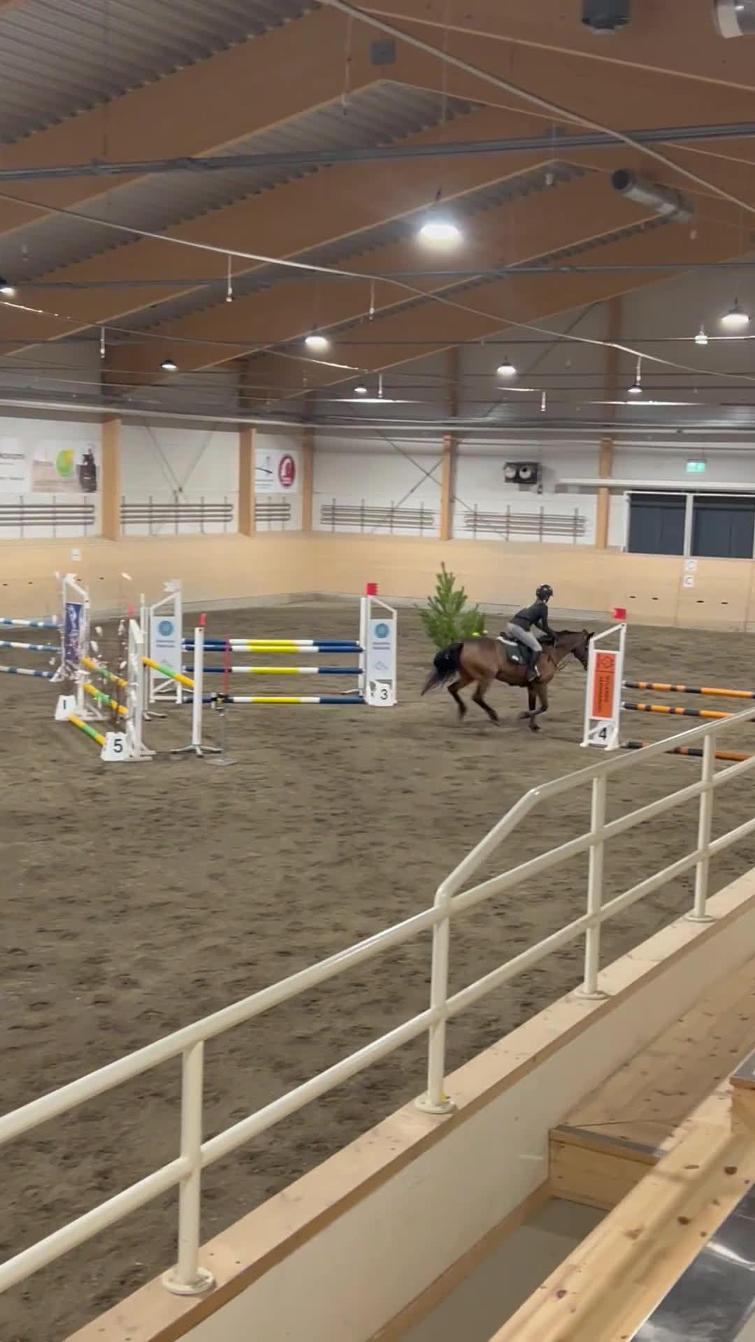 Hoppning hästar till salu: 🇮🇪 Hopponny med tryck 🇮🇪 - Video 3