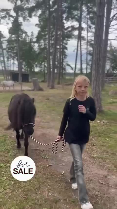 Allround hästar till salu: Supertrevlig barnponny, troligtvis dräktig - Video 1