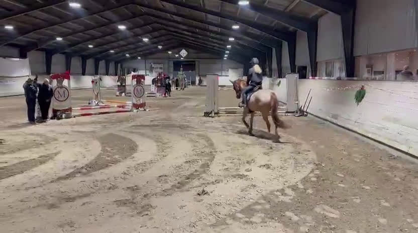 Hoppning hästar till salu: Super sød og alsidig dressurpony – 147 cm i Hårlev - Video 2