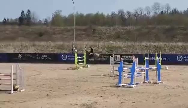 Hoppning hästar till salu: Tävlingsponny - Video 1