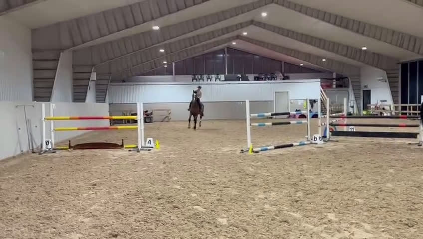 Hoppning hästar till salu: Underbar hopphäst söker ny bästa vän🌟 i Kusmark - Video 1