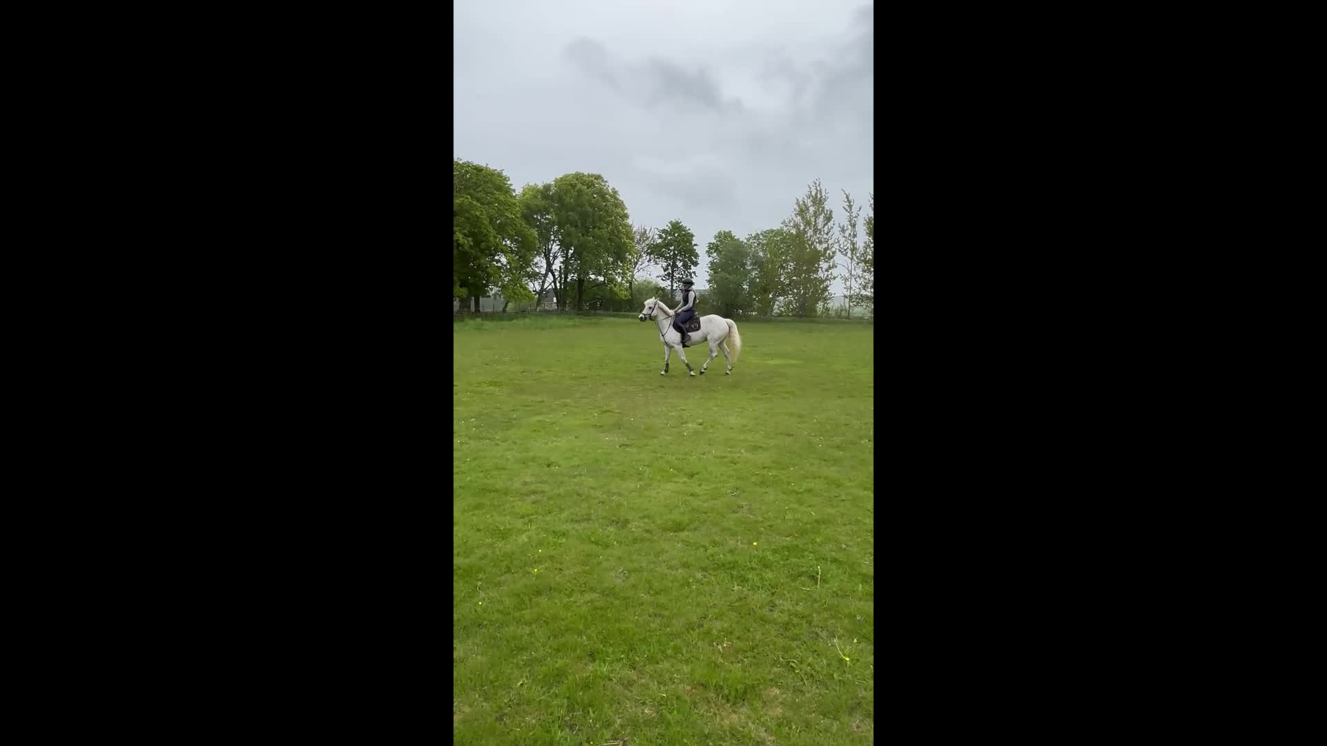 Hoppning hästar till salu: Lättsam Connemara med potential - Video 2