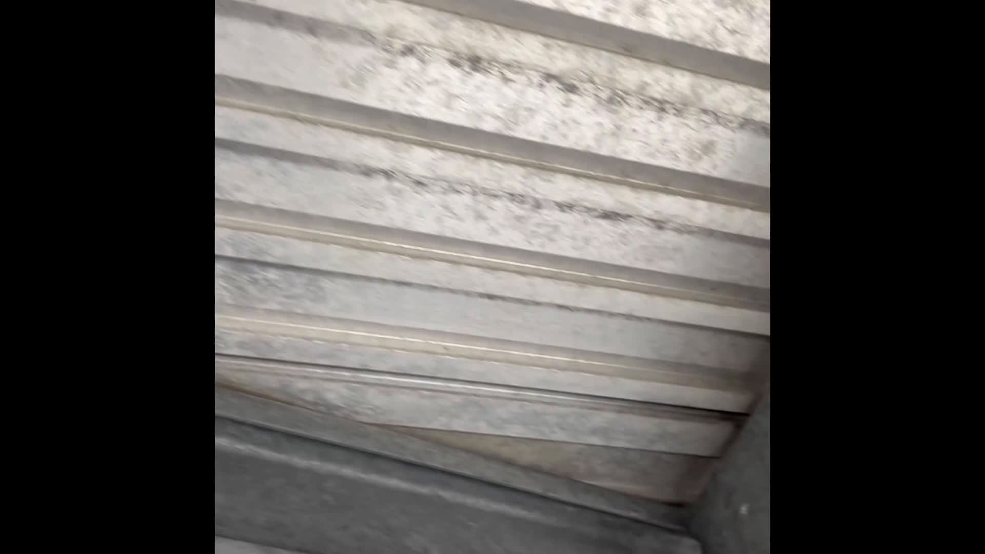 Hästtransporter  fordon & transport till salu: Superfin i aluminium och glasfiber - 1490/640 i Mölndal - Video 1