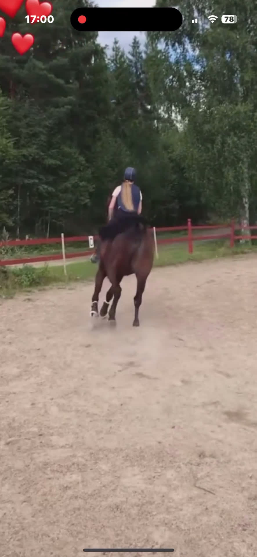 Allround hästar till salu: Intresse koll på världens snällaste sto - Video 1